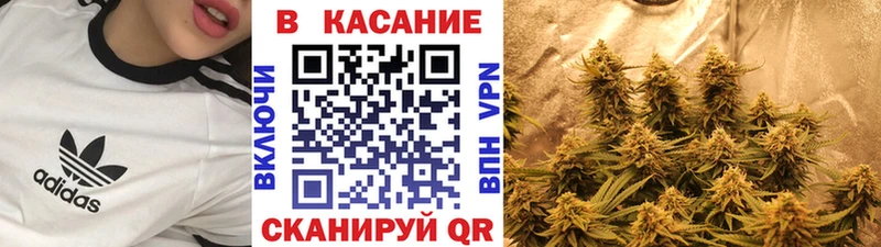 Купить наркотики Пыталово Гашиш  ТГК  APVP  Меф мяу мяу  Канабис 