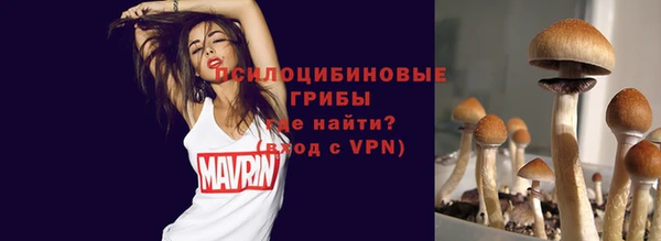 тгк Арсеньев
