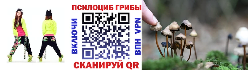 omg вход  Пыталово  Псилоцибиновые грибы Psilocybe  хочу  