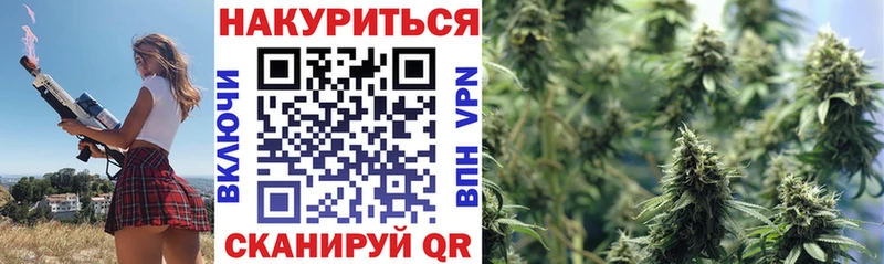 Канабис сатива Пыталово